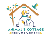 Animals Cottage